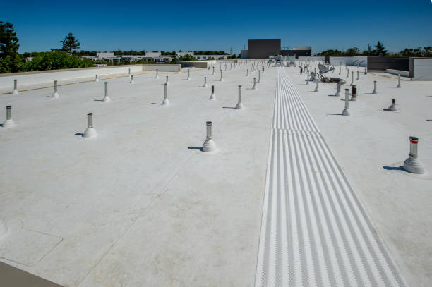 Best Rubber Roofing (EPDM, TPO)  in University Of Virginia, VA